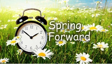 Spring Forward. Alarm clock sits in a field of daisies.